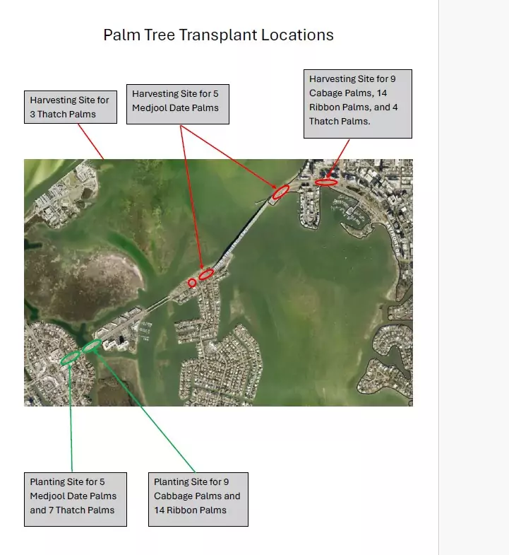 Palm Tree Relocations