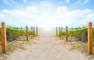 dunes