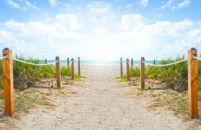 dunes